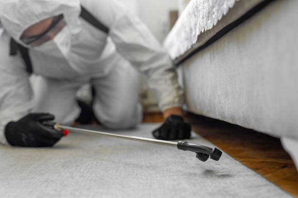 Professional Bed Bug Control technician working in North Little Rock, AR
