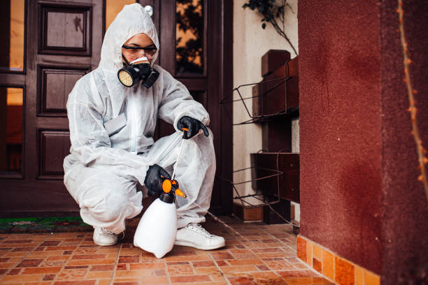 Reliable Bed Bug Control contractor in North Little Rock, AR by Nex Pest Control