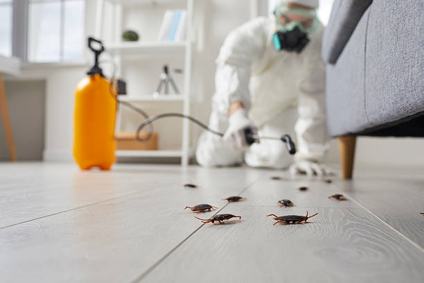 Trusted Emergency Pest Control service in North Little Rock, AR - Nex Pest Control