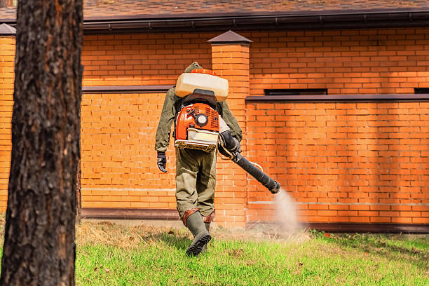 Trusted Bed Bug Control service in North Little Rock, AR - Nex Pest Control